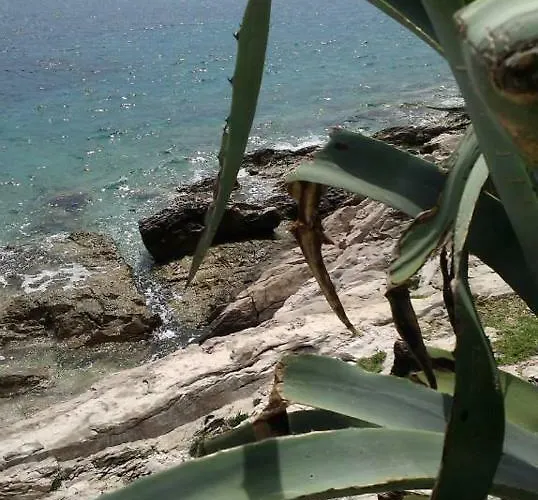 Liza's Downtown Appartamento *